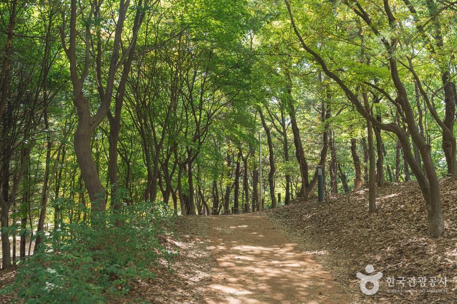 南仙公園